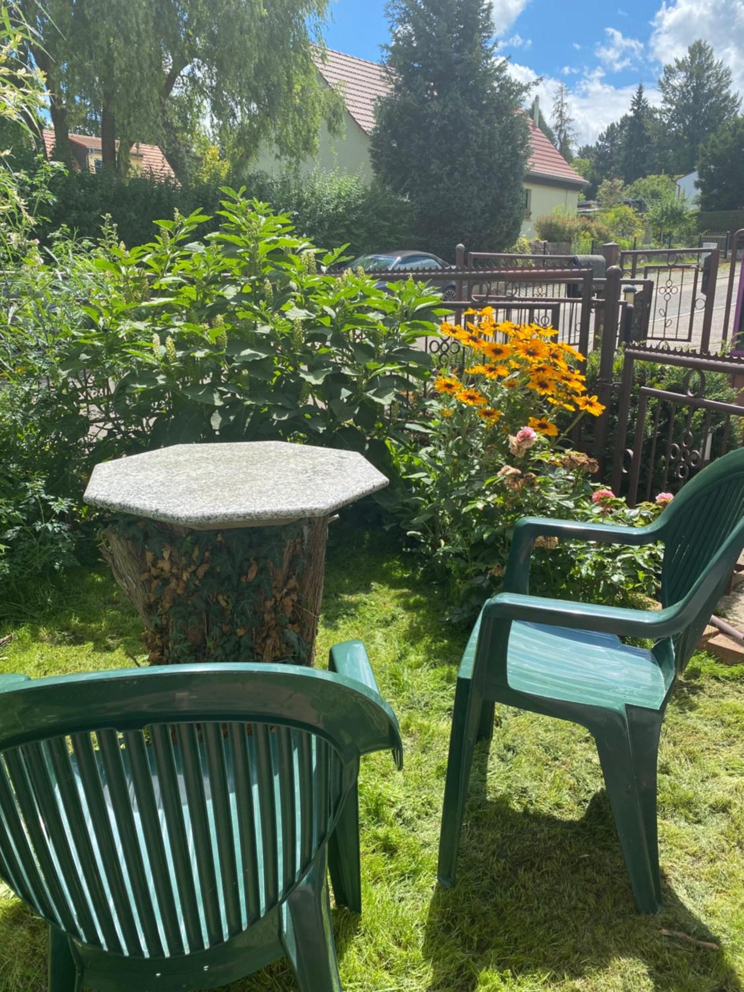Haus Heiken Lavendel Altenburg